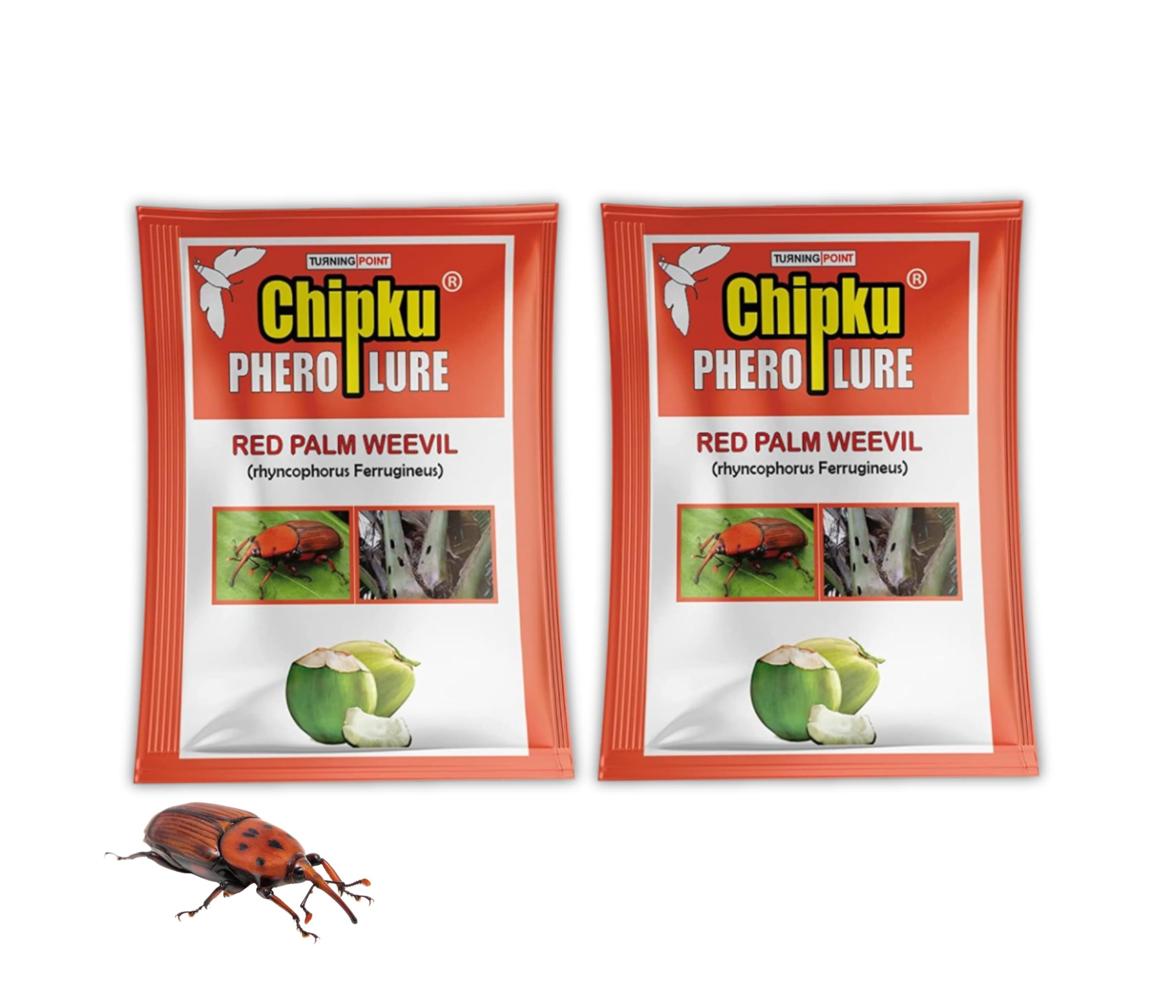 Chipku_Red Palm Weevil Pheromone Lure Against Rhynchophorus ferrugineus & Oryctes Rhinoceros for Coconut Palm Tree Insects Control/Organic Farming/Turning Point Natural Care (Only Lure Pack of 2)-image-14