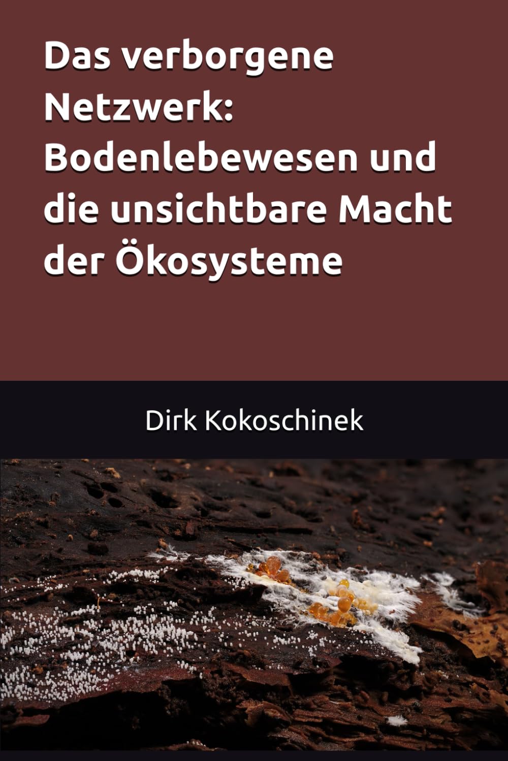 Das verborgene Netzwerk: Bodenlebewesen und die unsichtbare Macht der Ökosysteme