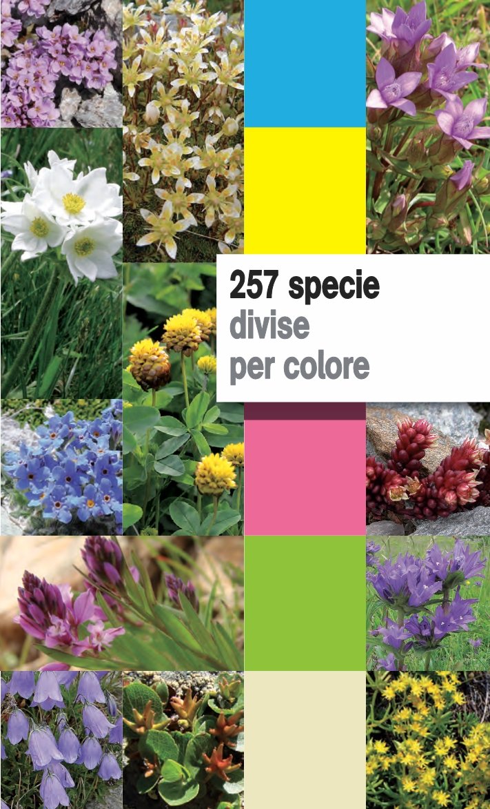 Fiori di montagna delle Alpi sud occidentali. Ediz. illustrata