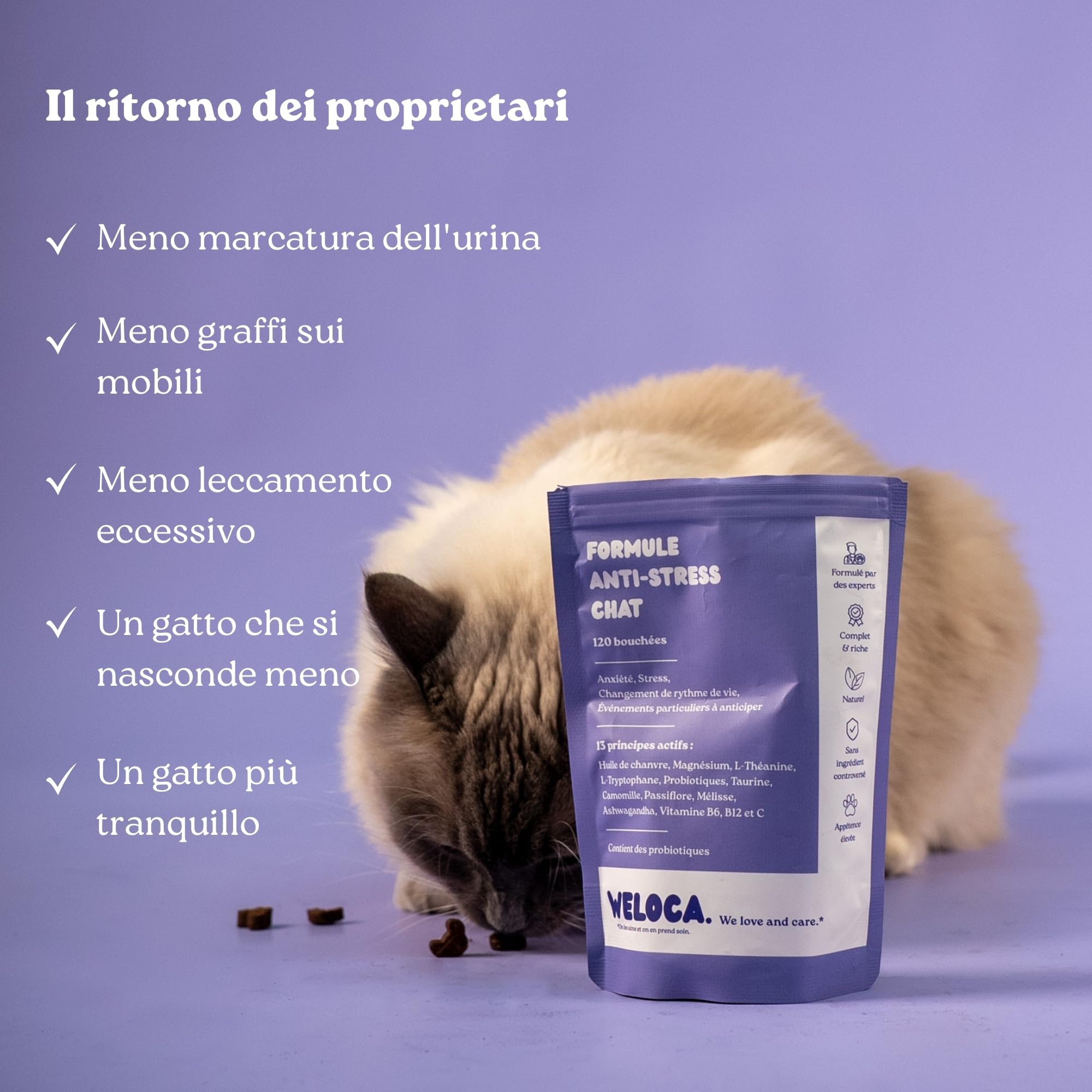 Weloca Anti-Stress Gatto - Anti marcatura urinaria, Anti graffio, lenitivo Contro i Problemi comportamentali del Gatto - 13 principi Attivi Naturali - Calmante Gatto - Imballaggio Francese