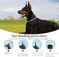 Vista 3 de Doberman - Kit de cinta adhesiva de cuidado para perros Doberman Pinscher, esponja