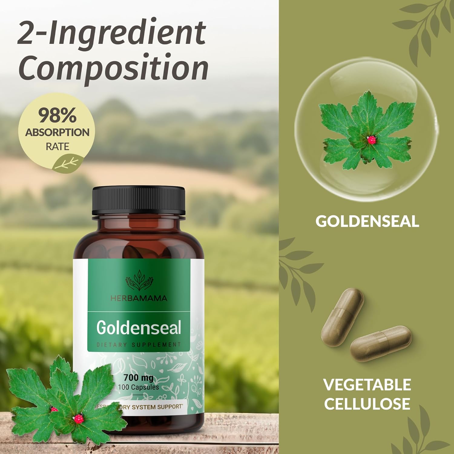 HERBAMAMA Goldenseal Root Capsules 700mg - Respiratory System & Immune Support with Goldenseal Powder Supplement - Vegan, Non-GMO - Image 4
