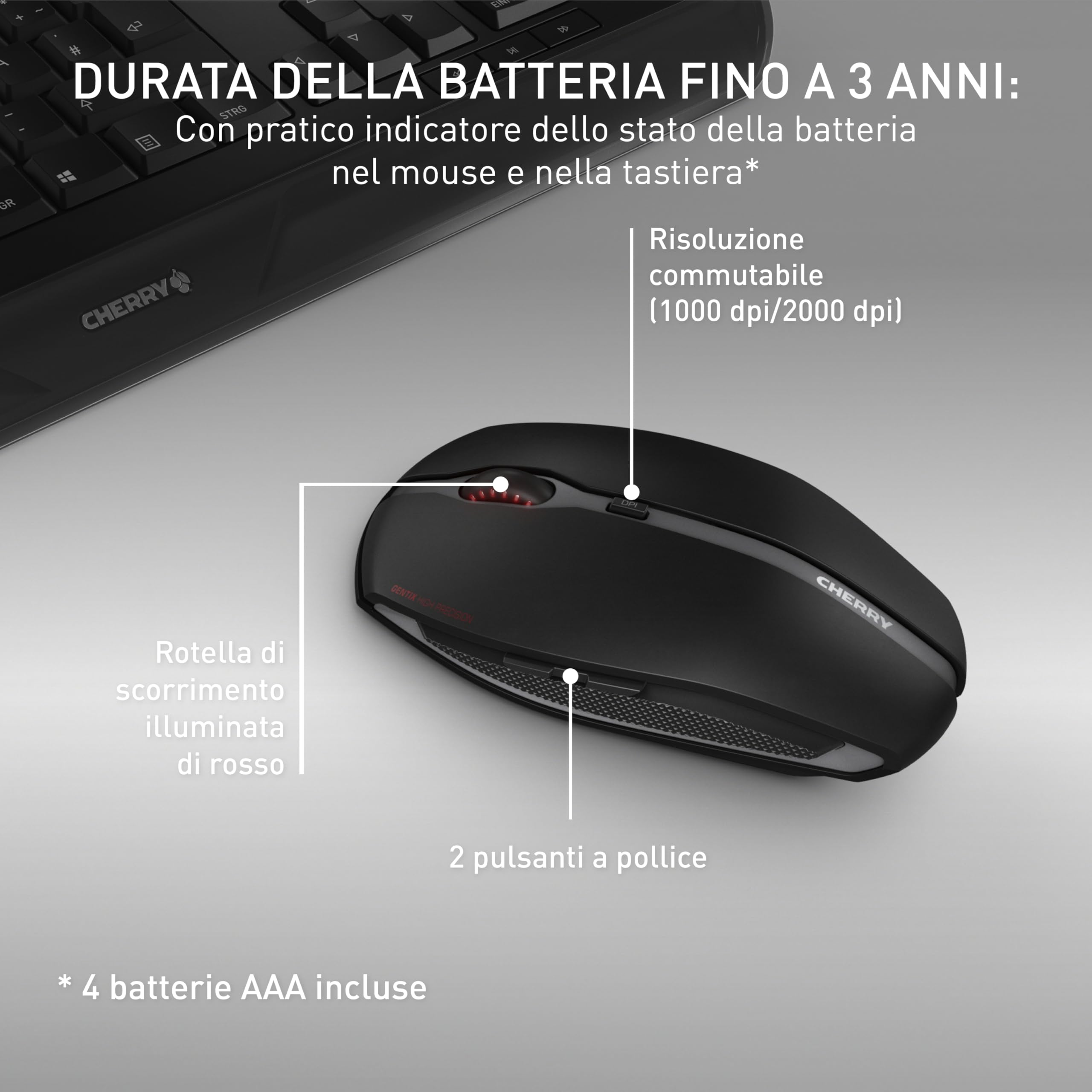 CHERRY GENTIX DESKTOP, Set di Tastiera e Mouse Senza Fili, Layout per la Germania (QWERTZ), Radio a 2,4 GHz, Palm Rest Integrato, Mouse Simmetrico, Nero