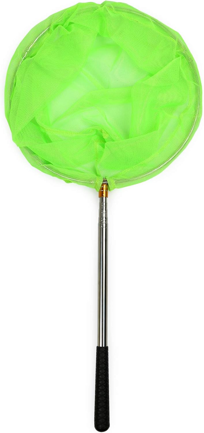 RESTCLOUD Bait Net and Fishing Landing Net with Telescoping Pole Handle Extends to 59 inches (Green) : Sports & Outdoors