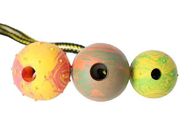 Foto 8 de 8 de Pelota para Perro Dingo Smooth - Totalmente rellena de Goma, con Cuerda de 60 cm