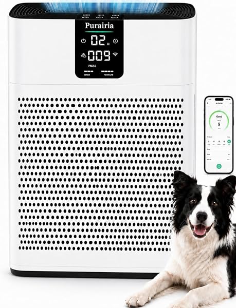 Air Purifier for Home Bedroom Office, HEPA Air Purifiers with 2 Filters
