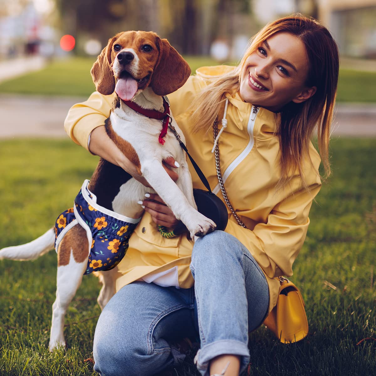 Pet Soft Culotte Chiennes Chaleurs, Lot de 3 Réutilisables Couche Chien Femelle S, Culotte Lavables pour Chien avec Bouton Réglable (Fleur, S)