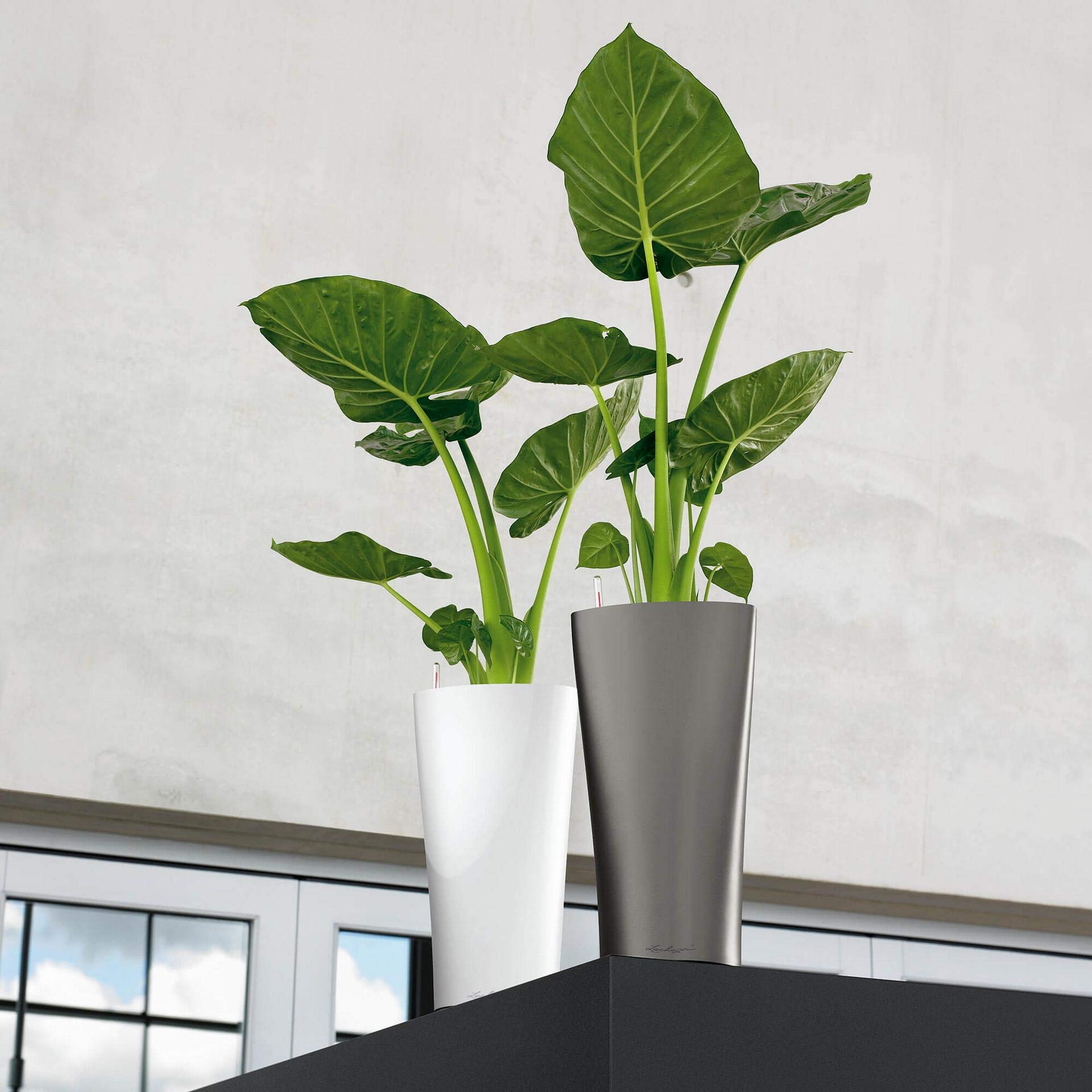 Lechuza Pot de Fleurs d'Intérieur Premium Delta 40 x 40 x 75 cm Blanc