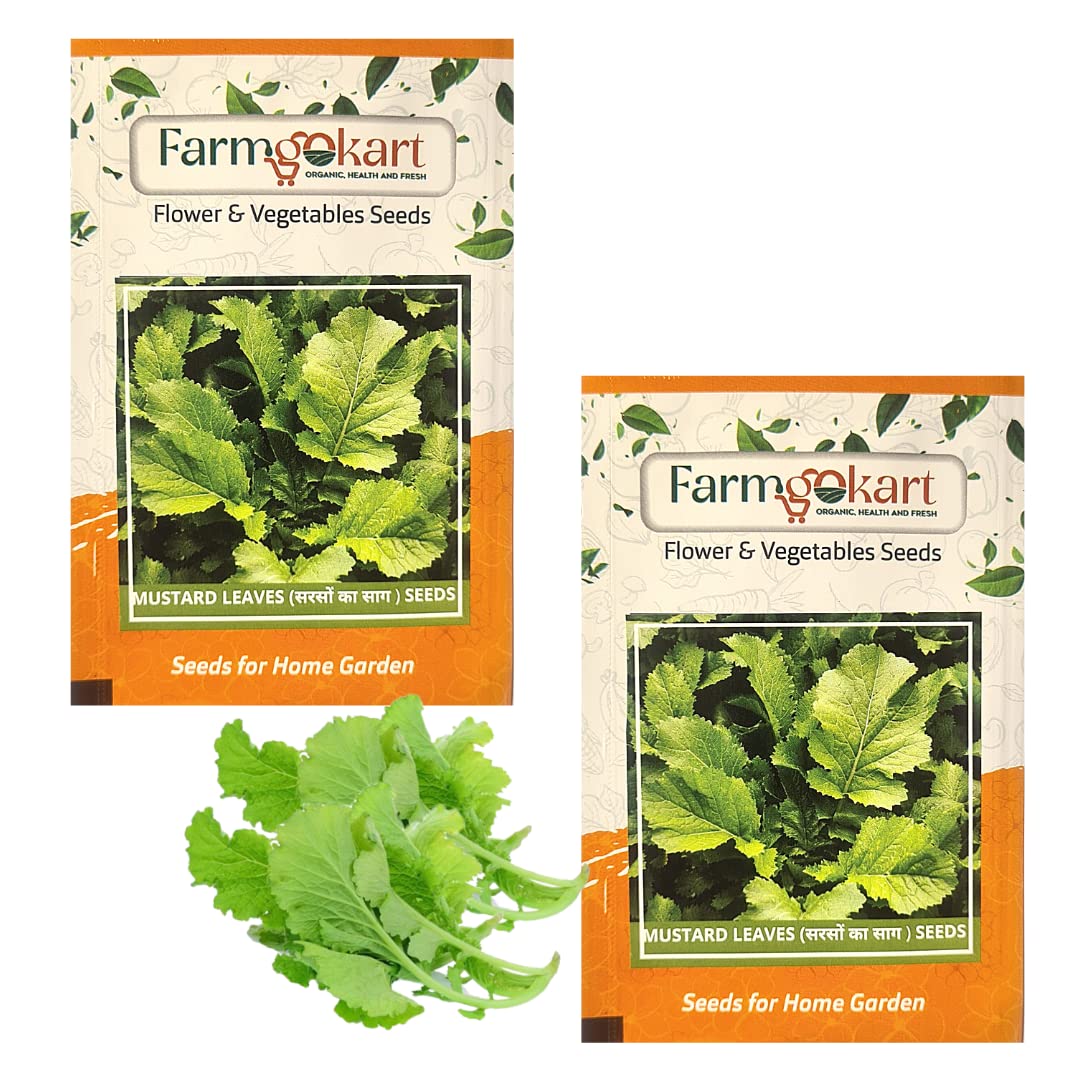 2 Packets of MUSTARD LEAF SEEDS -10 GMS PER PACKET (SARSO KA SAAG BEEJ) |Easy To Grow | Best Suitable For Terrace And Home Gardening | Quality vegetable and Herbs Seeds Pouch| High Germination | (B0BQDQHLYN) Amazon Price History, Amazon Price Tracker