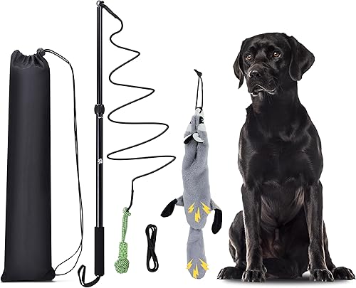 Flirt Pole - Juguete para perros con chirriantes en el interior, juguete de caña de pescar para perros grandes, medianos y pequeños, para mantener
