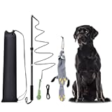 Flirt Pole Dogs, Dog Chase Toy with Squeakers Inside, Dog Fishing Pole Toy for Large Medium Small Dogs to Keep The Puppy Entertained and Physically Exhausted, Ball+Beaver, L