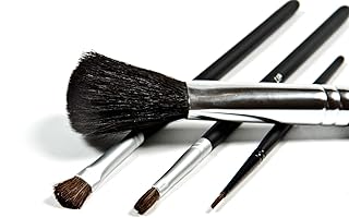 Danyel' Colección de pinceles cosméticos prof...