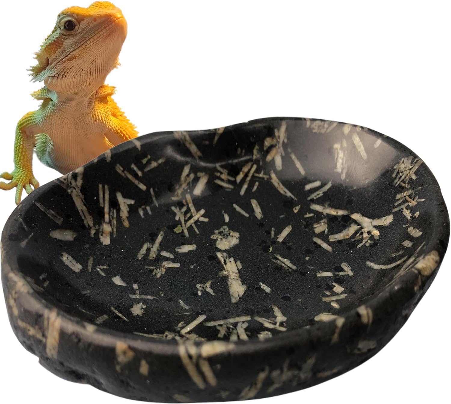 Natural River Stone Reptile Food Bowl – Handmade Pebble Dish for Reptiles, Amphibians, Hedgehogs, and Small Pets – Unique Size, Shape & Color – Water & Food Bowl (Black)