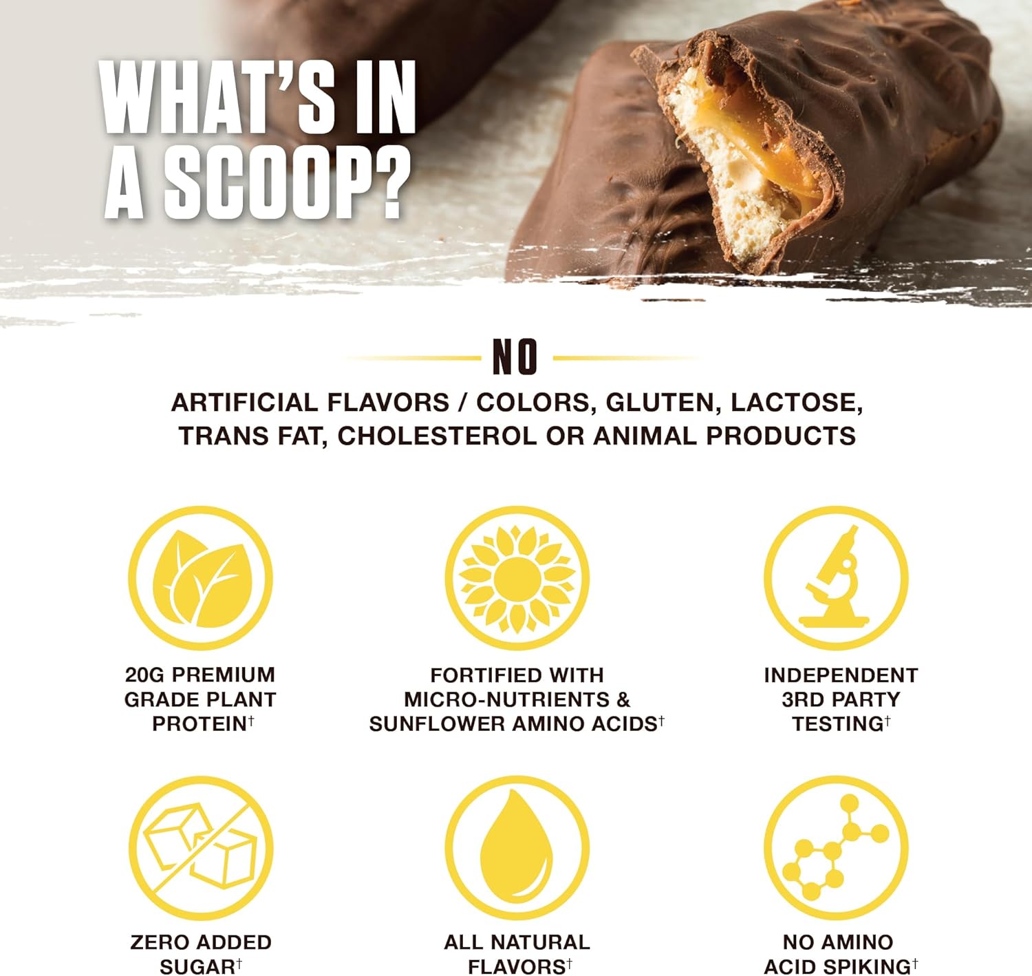 Ambrosia Plant Based Protein Powder 20g | Clean Vegan Pea Protein Powder | Gluten & Dairy Free, Keto Friendly, No Added Sugar | 14 Servings | Candy Bar