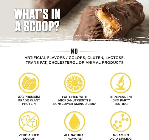 Miniatura 4 de Ambrosia Planta - Proteína orgánica de primera calidad a base de plantas  Apto para veganos y cetogénicos  Sabores gourmet sin hinchazón ni malestar