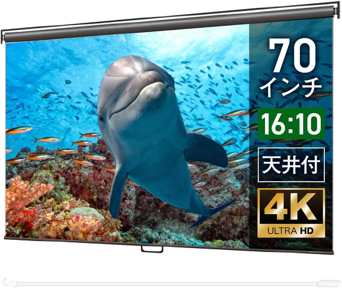 シアターハウス ビジネスプロジェクター スクリーン スプリング ケースなし(16:10) マスクフリー (70インチ) 会議用 日本