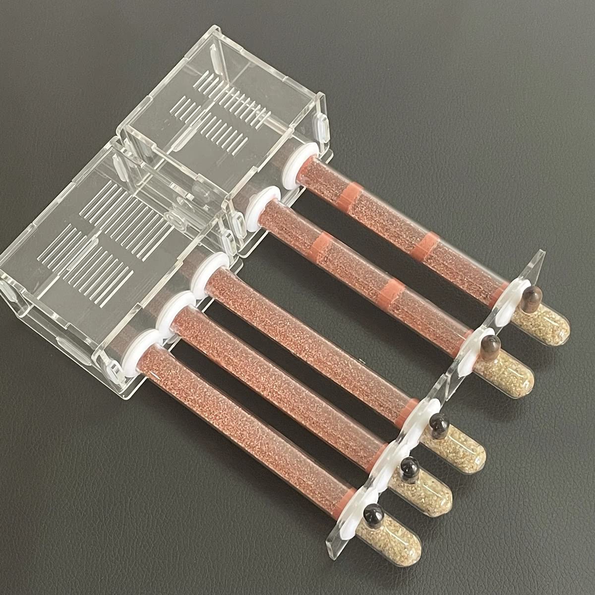 Ameisenformikarium, DIY Acryl Ameisennest 15mm Bambus Reagenzglas Ameise. Formicarium Moisturiz(C)