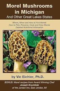 Morel Mushrooms in Michigan And Other Great Lakes States