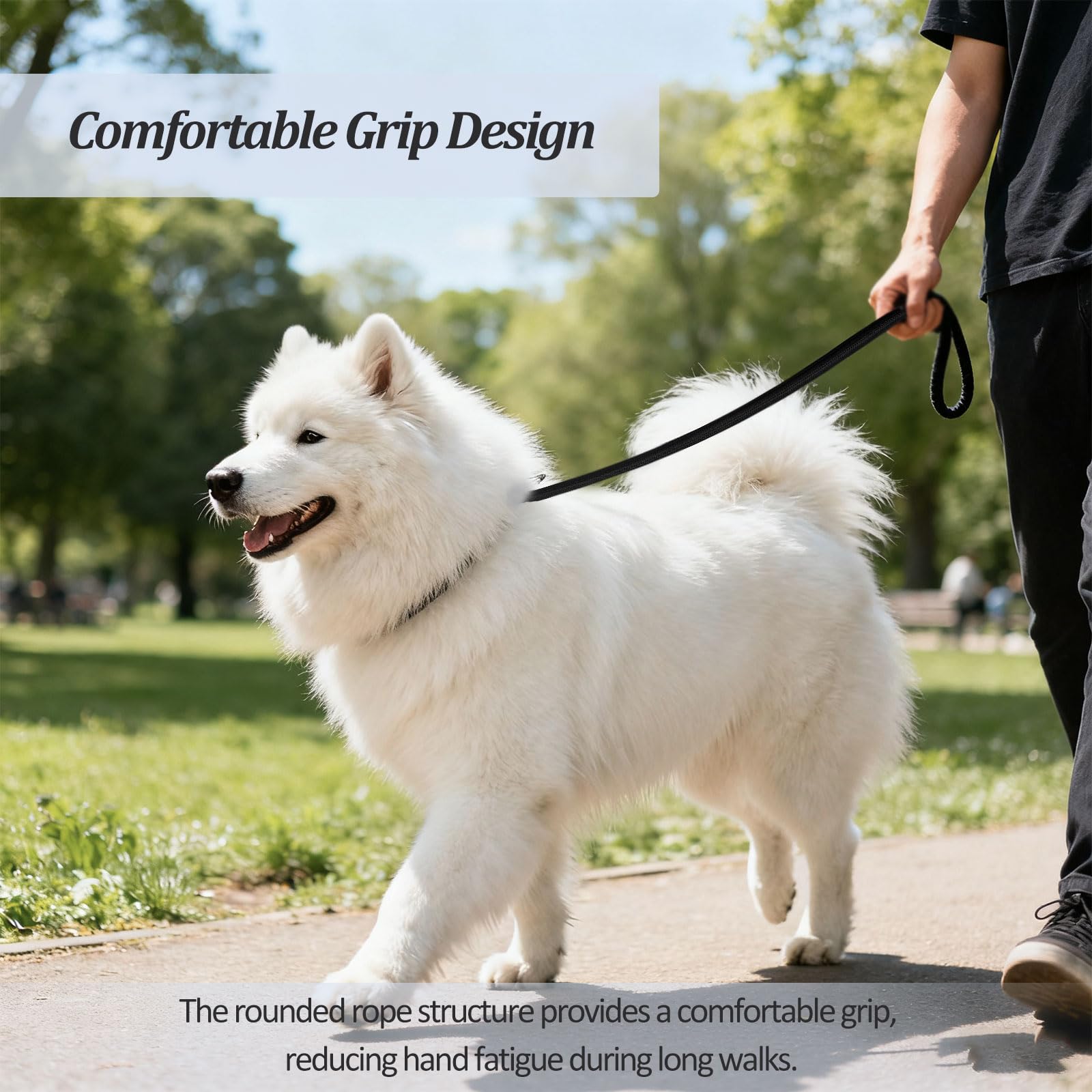 2-Pack Adjustable Nylon Slip Dog Lead – Collar-and-Leash Integrated Design for Training (Black/Blue) - 5