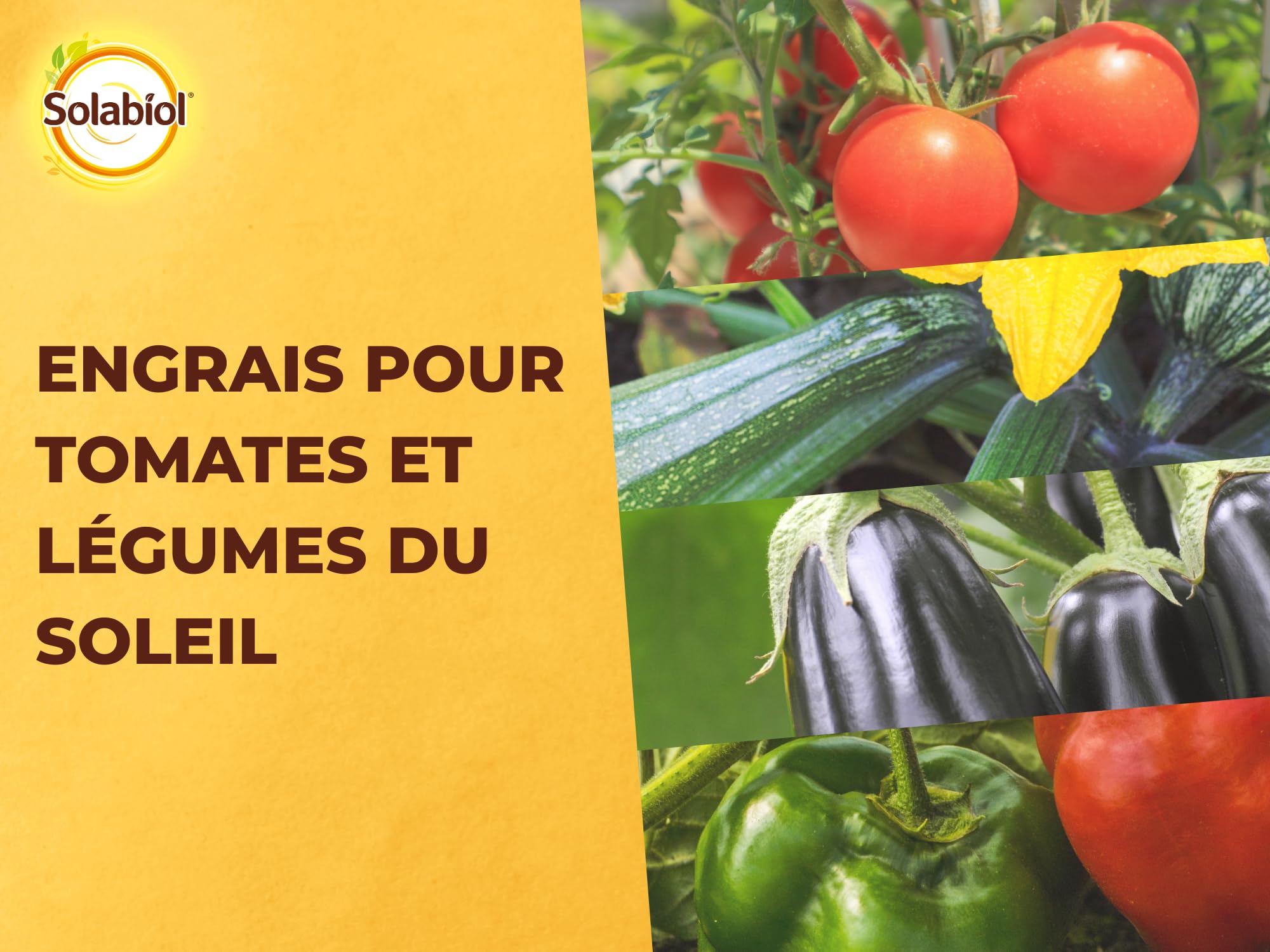 SOLABIOL Engrais Tomates & Légumes Du Soleil - 1,5Kg - Jusqu'à 30 Plants - Nutrition Longue Durée - Meilleure Reprise A La Plantation - Utilisable En Agriculture Biologique SOTOMY15