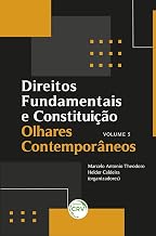 Direitos fundamentais e constituição: Olhares contemporâneos (volume 5)