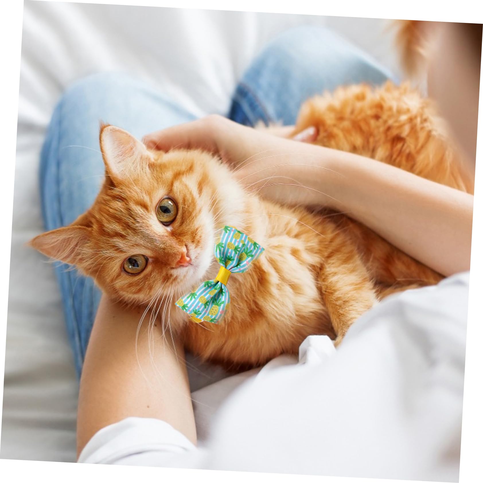 Amosfun 48stücke Teiliges Verstellbare Hundehalsbänder Mit Bunten Fliegen Für Kleine Und Mittelgroße Hunde Für Partys Hochzeiten Und Fotoshootings Langlebig Und Komfortabel