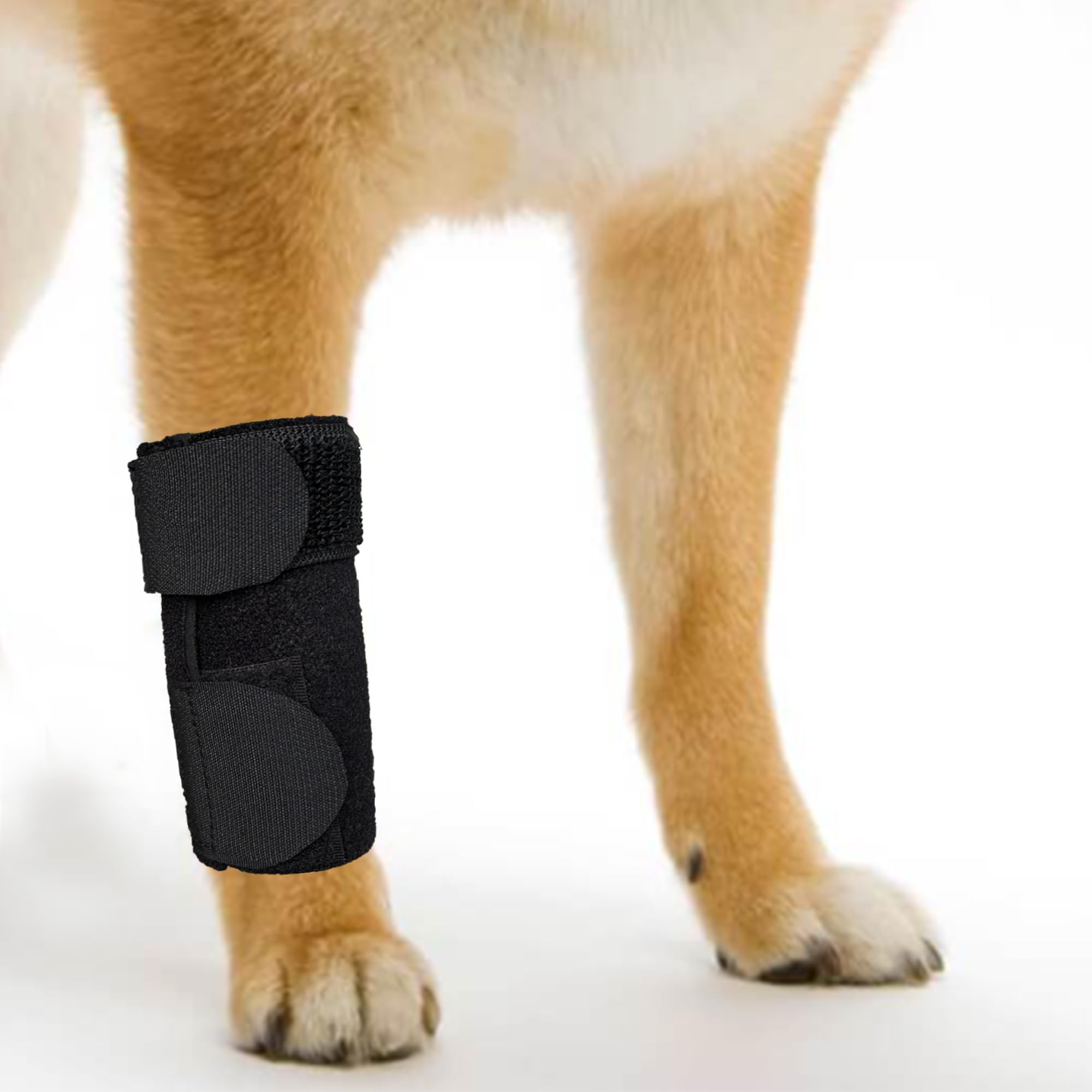 Dog Canine Front Leg Brace Paw Compression Sleeve Joint Wraps - Protects Wounds Stop Licking & Prevents Injuries, Sprains Helps with Loss of Stability from Arthritis - Small