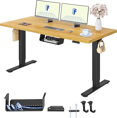 Flexispot E7 Pro Bureau Assis Debout