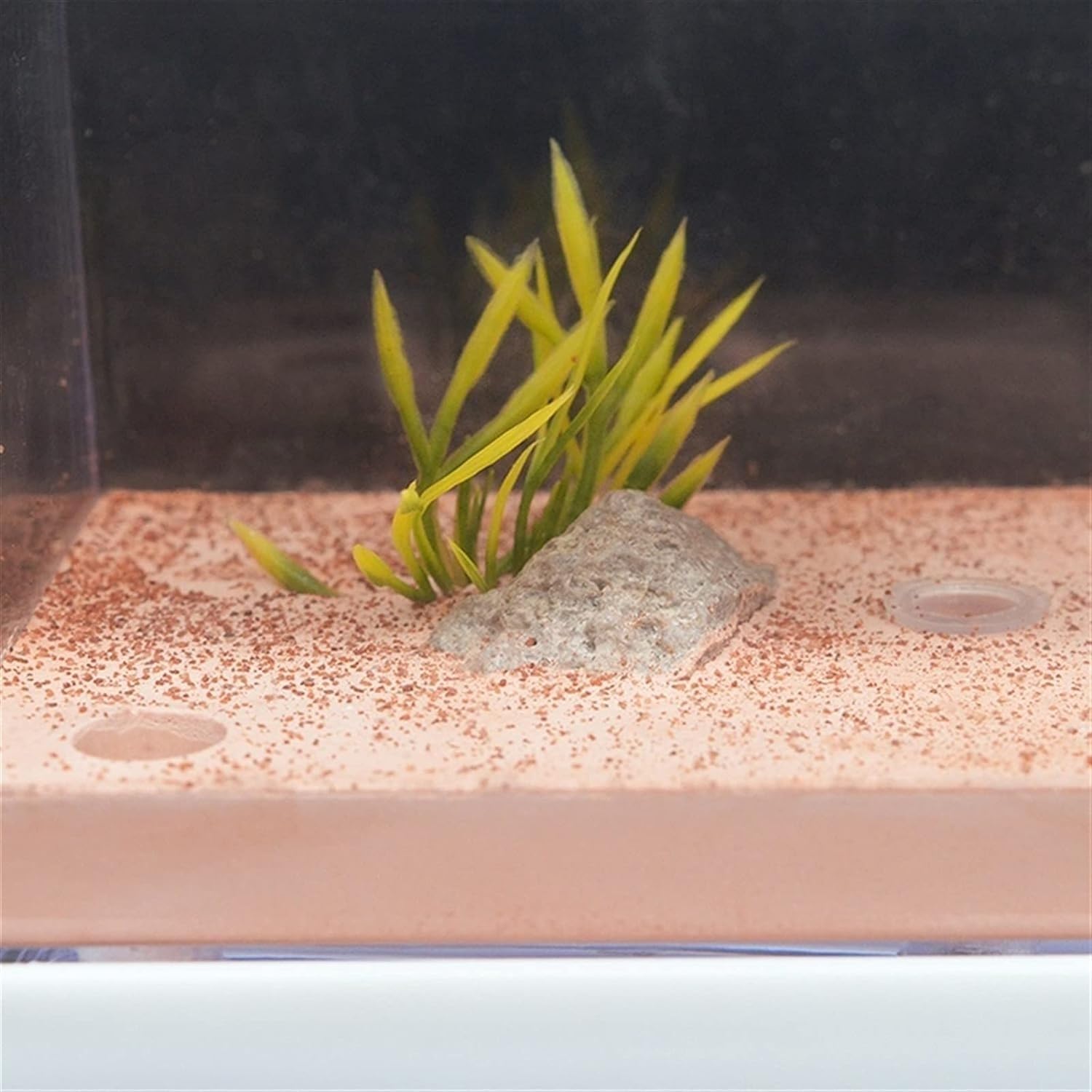 Ameisenfarm Nistkasten, Gips Ameisenfarm Natürliches Ökologisches Großes Ameisennest Insektenburg Werkstatt Haustier Ameisenhaufen Ameisenhaus Ameisenhaus(23cm)