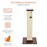 Ver la foto 2