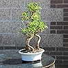 Product Photo 10