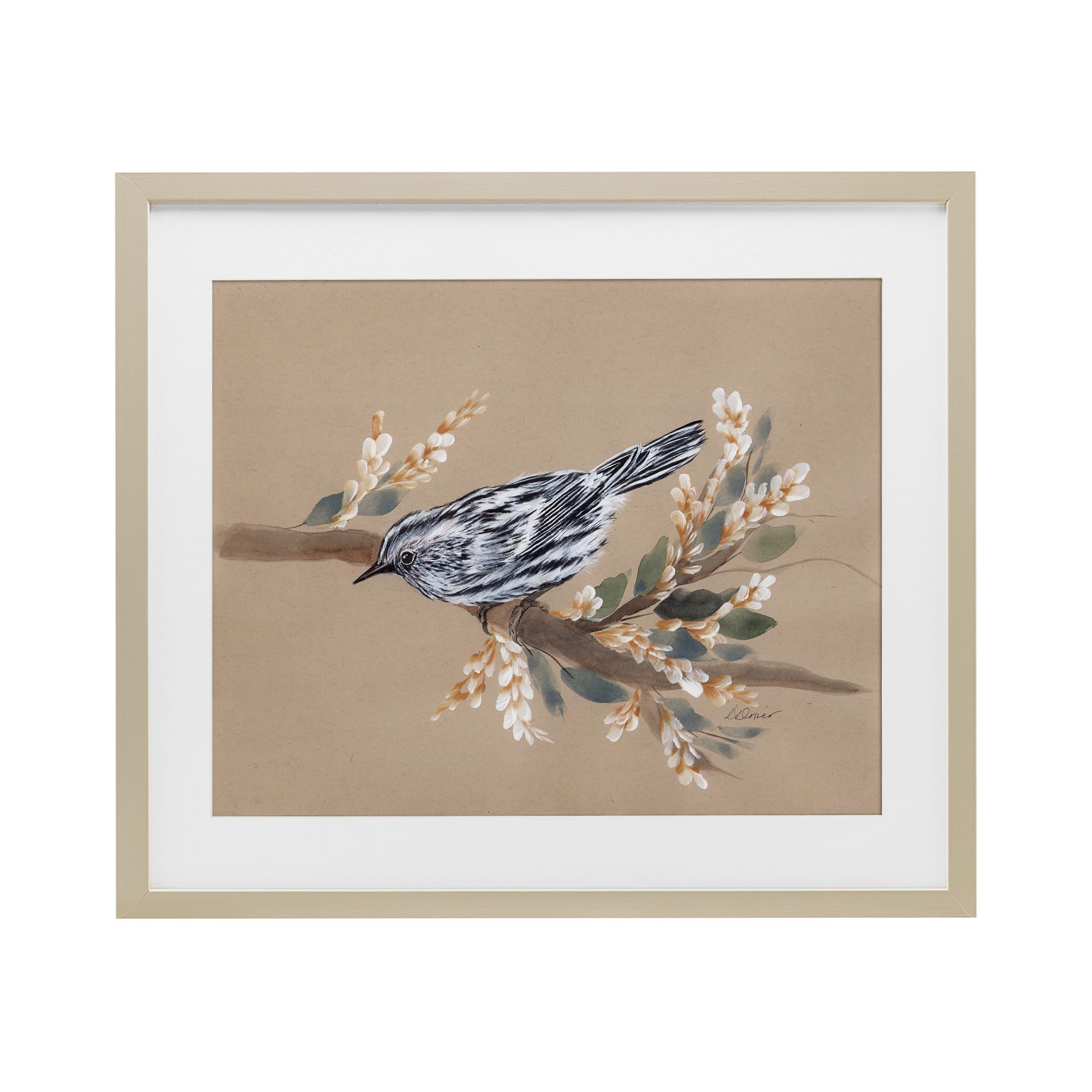 Stupell Industries Bird on Delicate Branch Birch Framed Print Under Glass, design by Cady Driver, 17 x 21