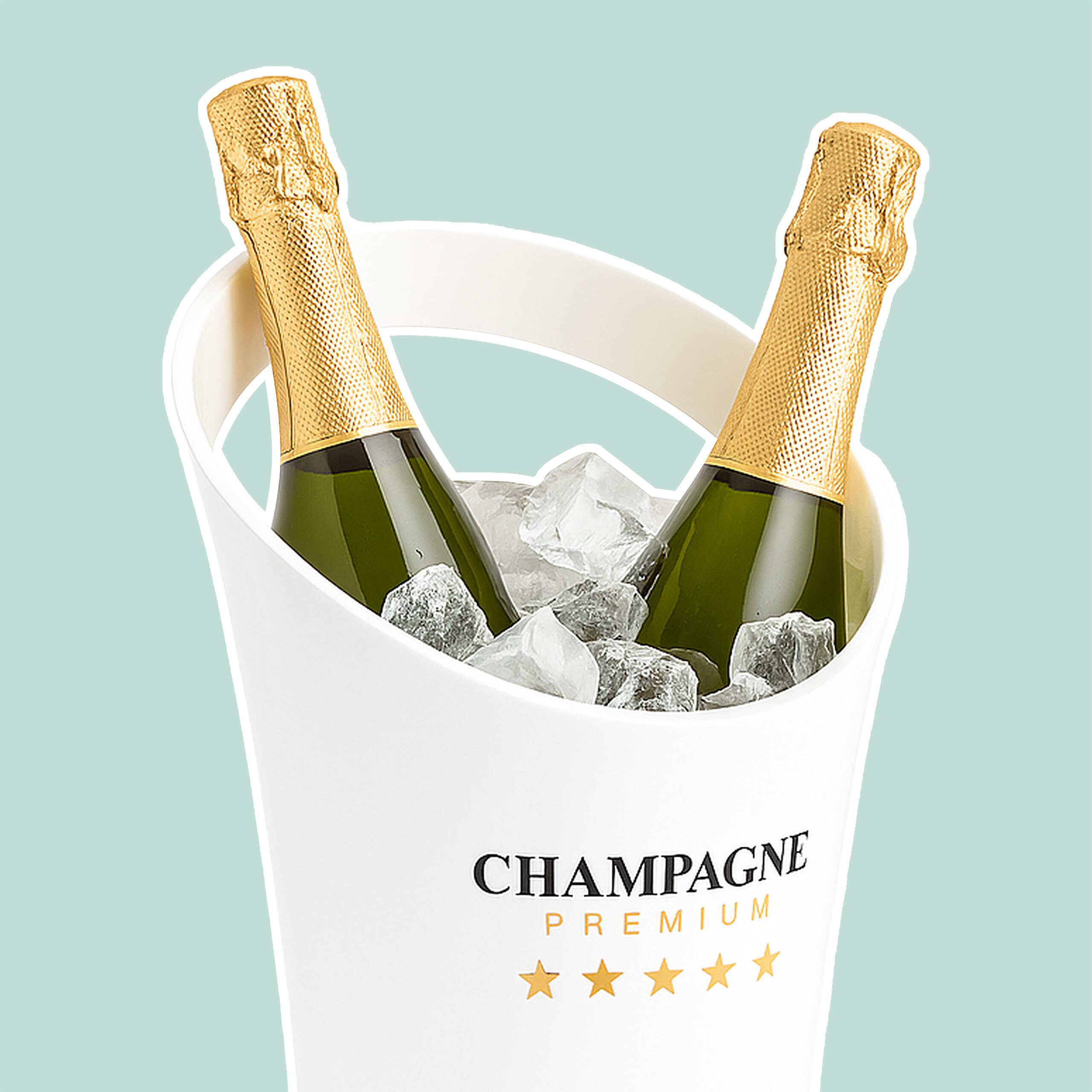 Relaxdays Secchiello per Il Ghiaccio, Glacette in Plastica Porta 2 Bottiglie Champagne e Spumante, 29,5 x 21,5 x 23,5 cm