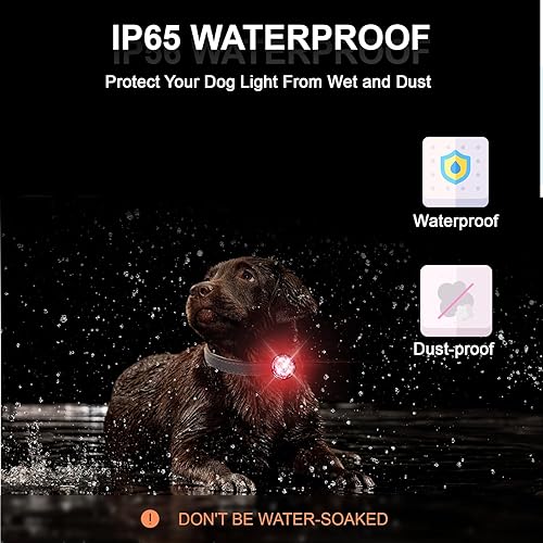Miniatura 3 de Paquete de 2 luces recargables para collar de perro para la noche, luz multiusos mejorada para perro con banda de silicona 100% impermeable y