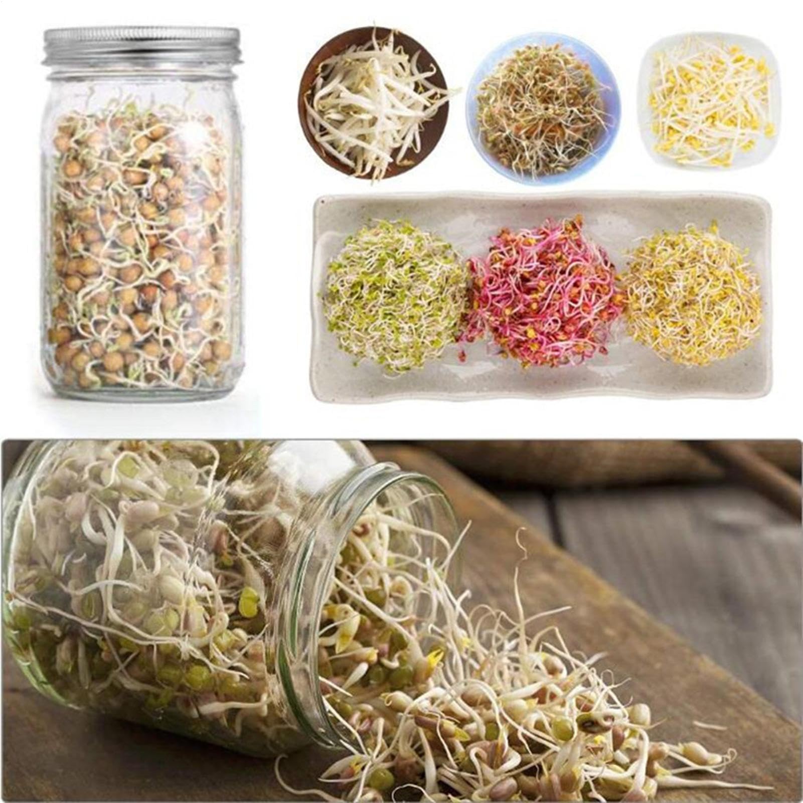 Lot de 2 bocaux en verre germé, pots de germination à large ouverture avec