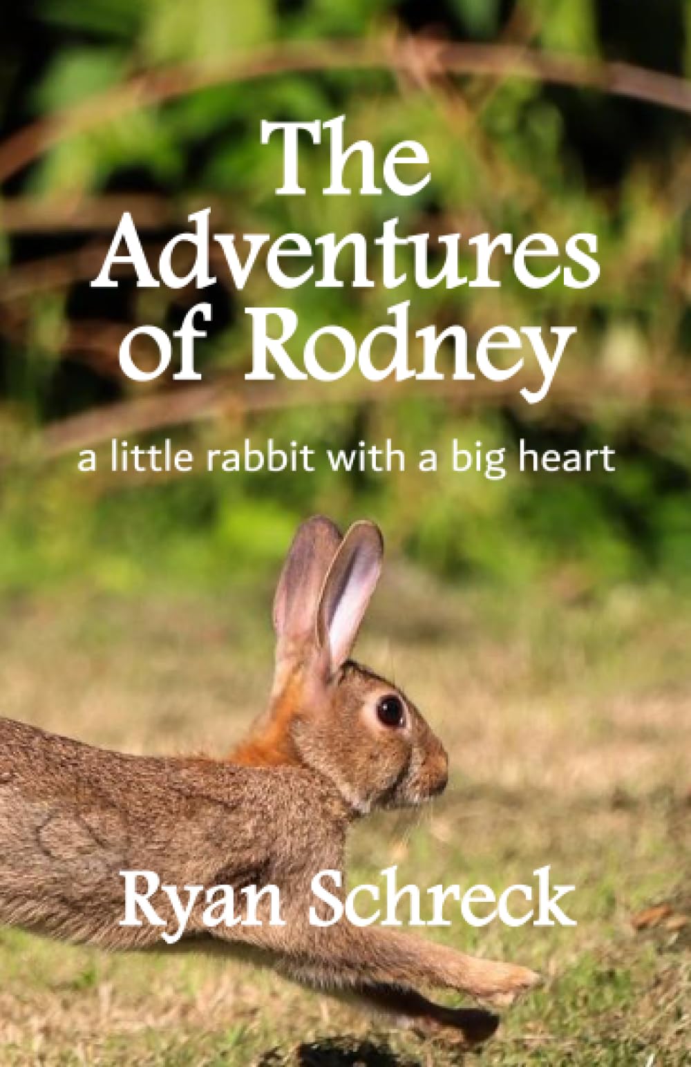 The Adventures of Rodney: a little rabbit with a big heart
