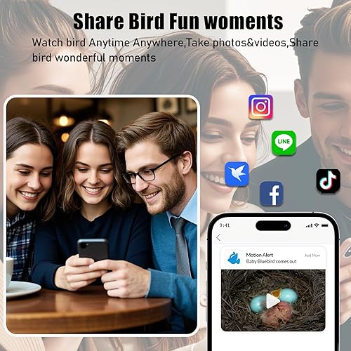 Miniatura 7 de Casa inteligente para pájaros con cámara, cámara HD 2K con energía solar, vista en tiempo real del nido de pájaro y la eclosión, casa inteligente de