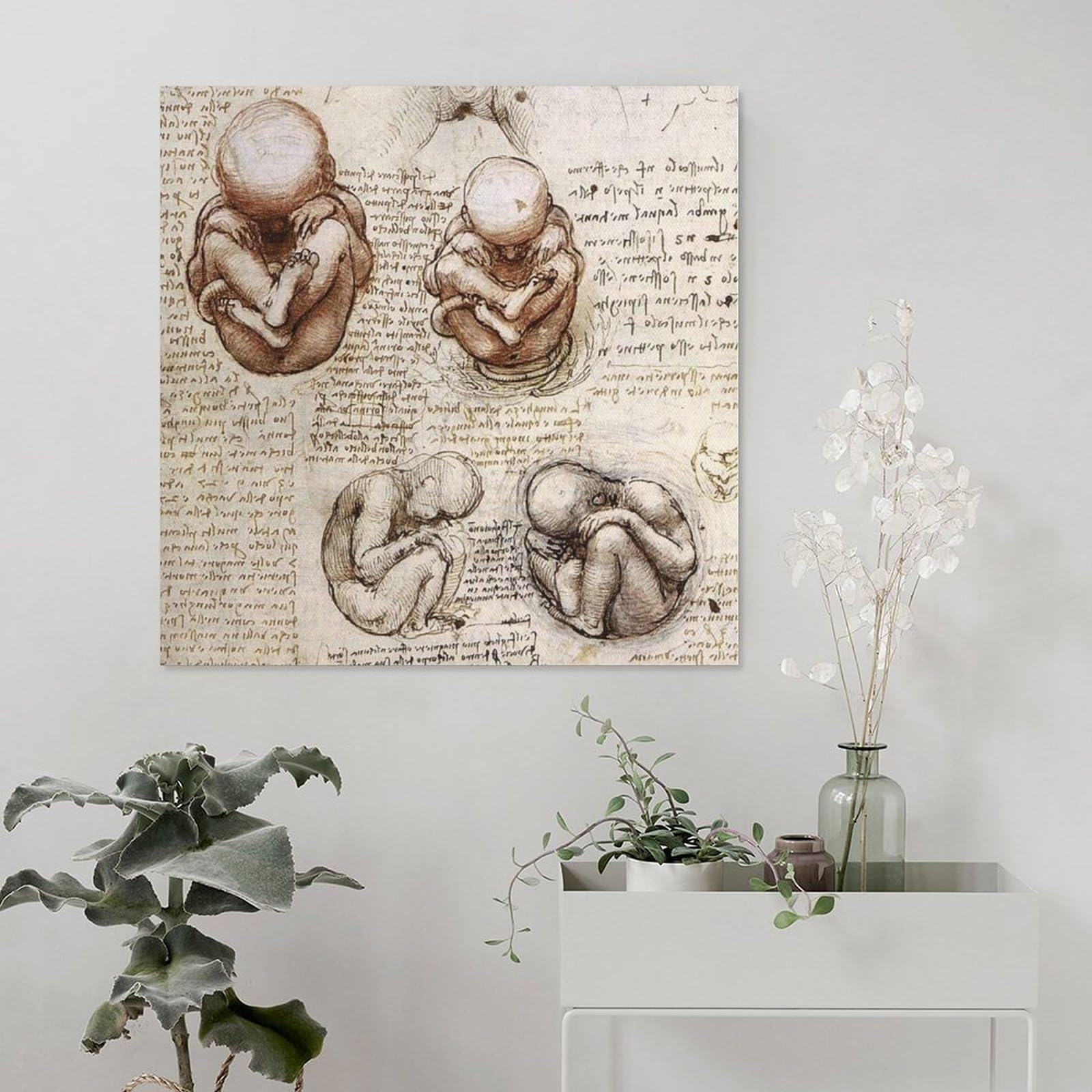 Amazon.co.jp: Leonardo Da Vinci レオナルド・ダ・ヴィンチ「子宮内