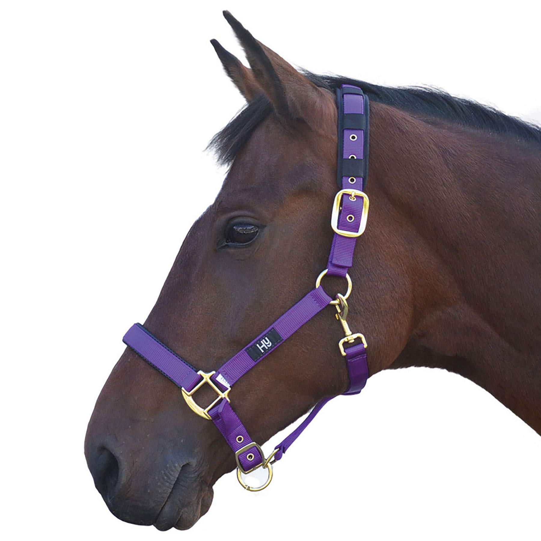 Hy Deluxe Padded Head Collar: Purple: cob