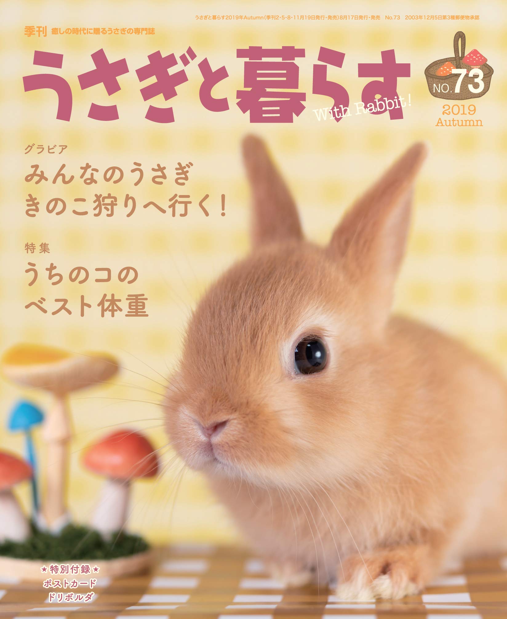 Amazon.co.jp: うさぎと暮らす NO73 2019 Autumn : Japanese Books