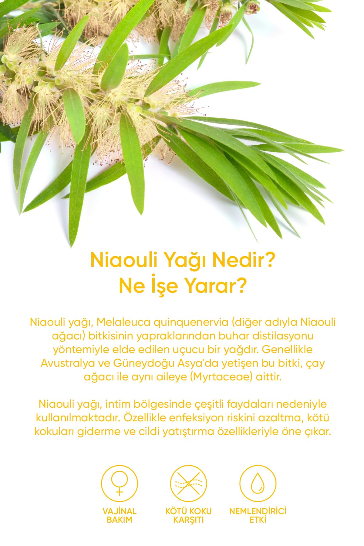 Niaouli Yağı Suyu - Genital Giderici Ve Koku Önleyici İntim Bakım Sprey 50 ml