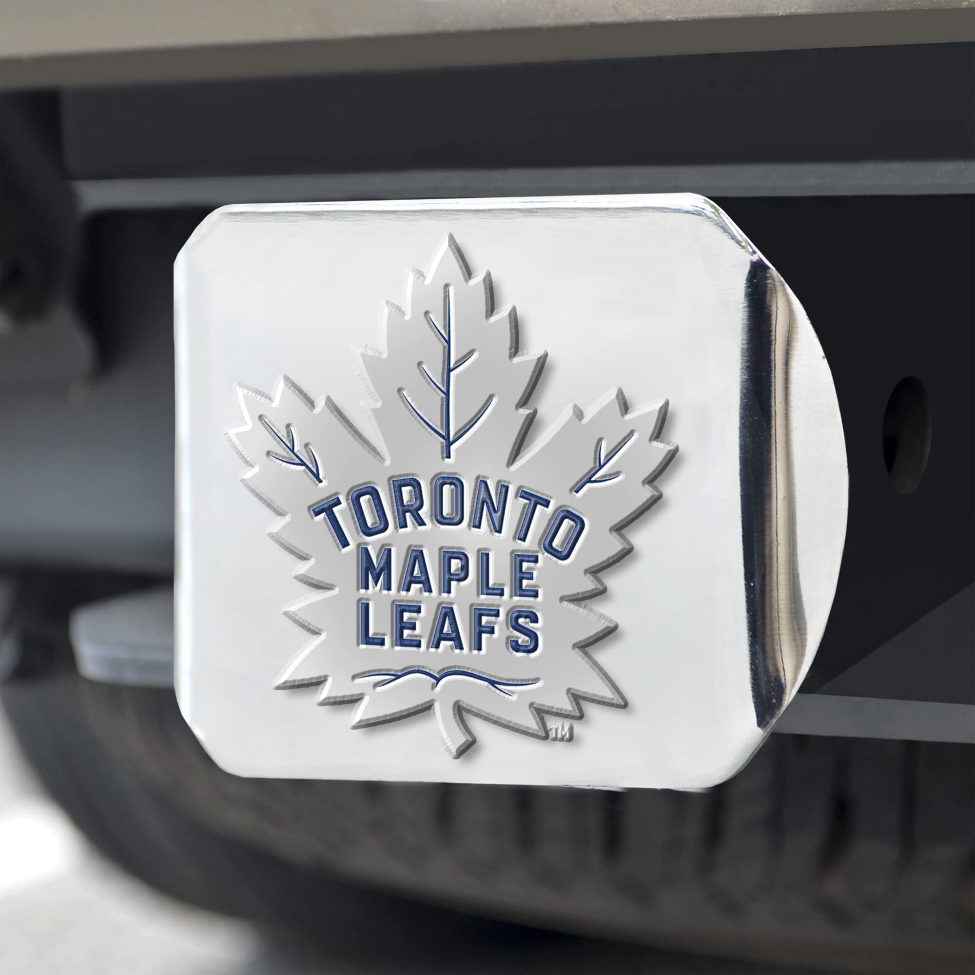 Amazon.com: FANMATS: Toronto Maple Leafs