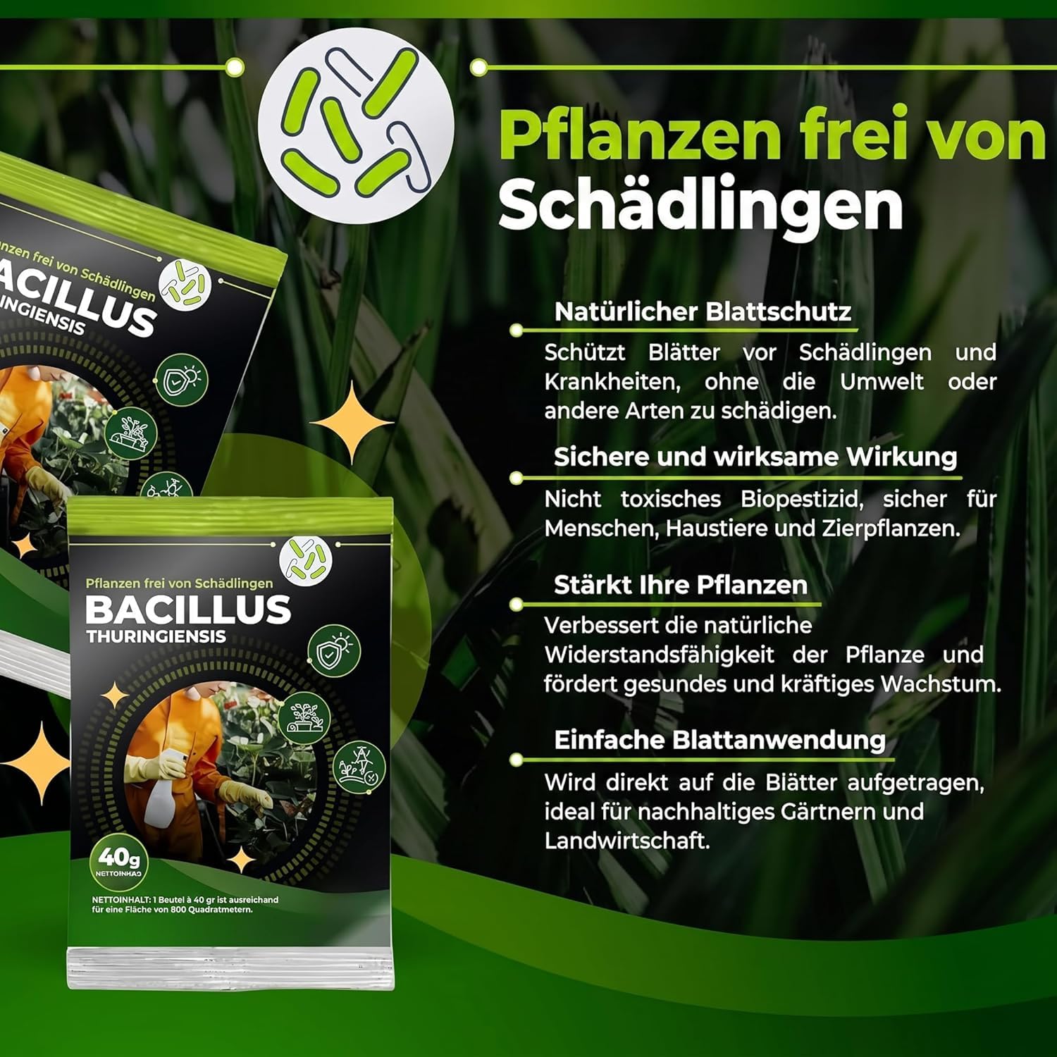 Trabe Bacillus Thuringiensis 3 Stück, 40 g – Raupenfrei - Zünslerfrei Buchsbaum und Raupen Plantura - Buchsbaumzünsler an Buchsbäumen - Respektiert Tiere, Umwelt und Menschen