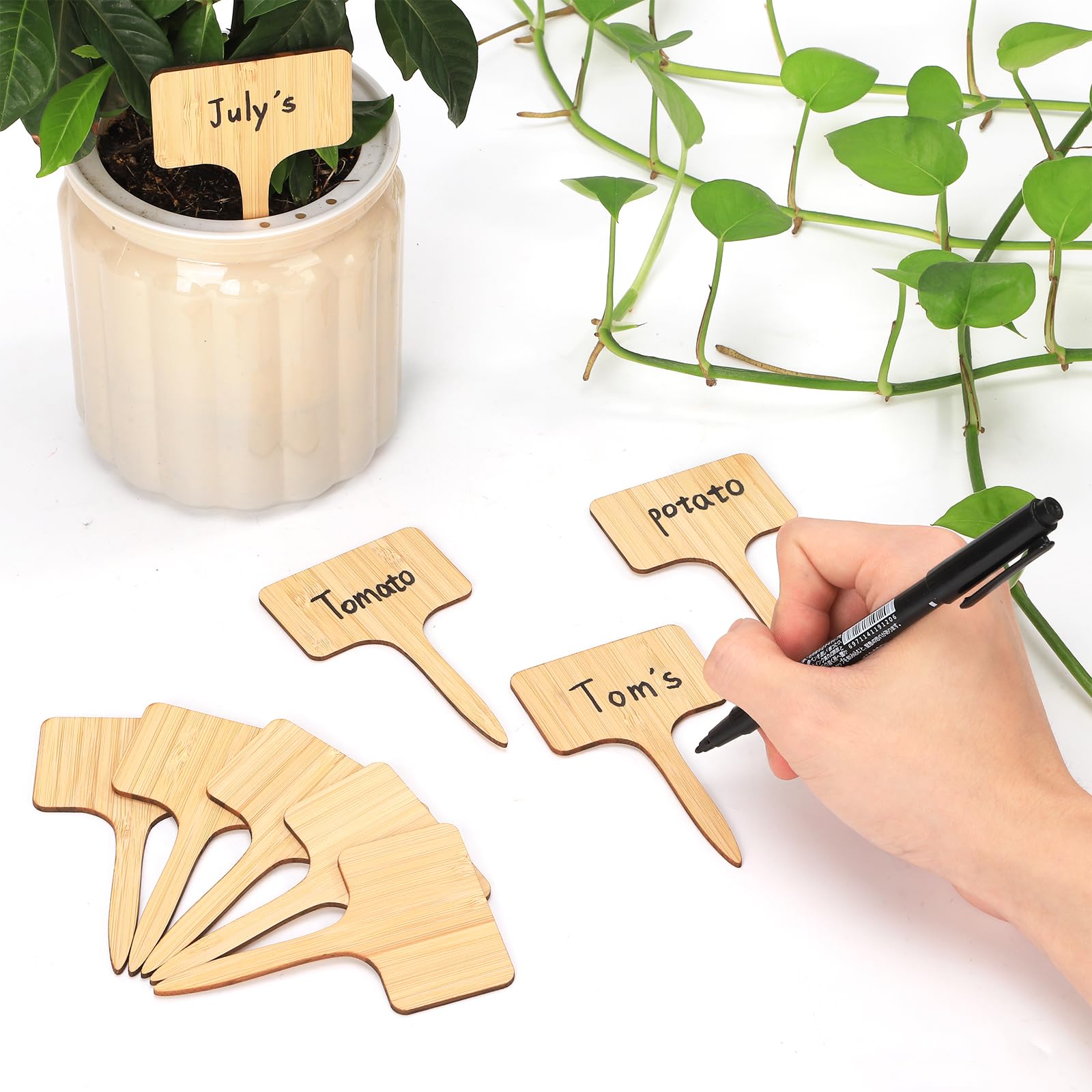 Lot de 120 étiquettes de plantes en bambou avec un marqueur respectueux de l'environnement en T pour semis, herbes, fleurs, légumes