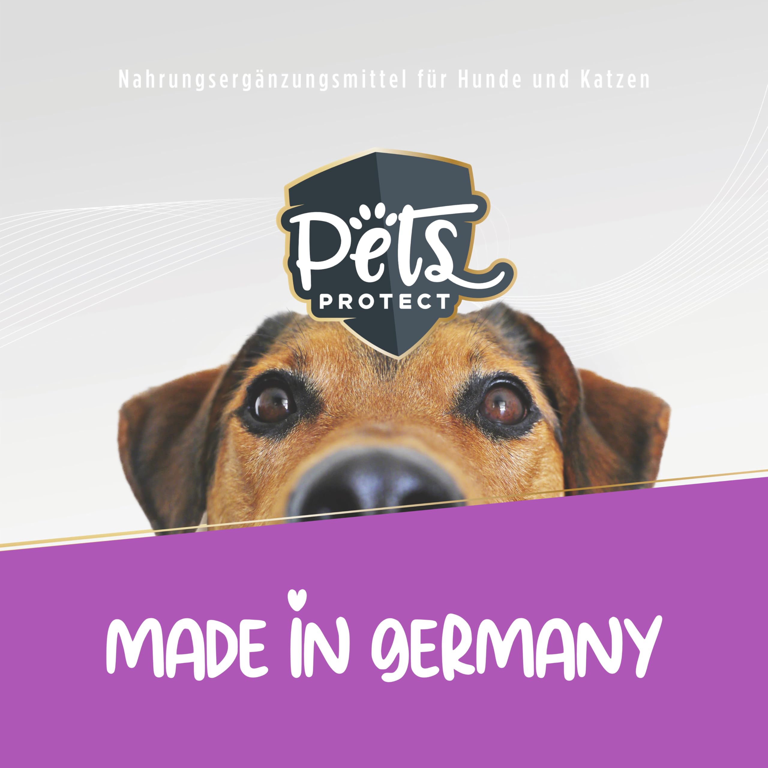 Pets Protect L-Carnitin Pulver für Hunde & Katzen (100% Carnipure®) | Vitalstoff zur Unterstützung des Stoffwechsels | vegan & getreidefrei | leicht dosierbar | 150 g