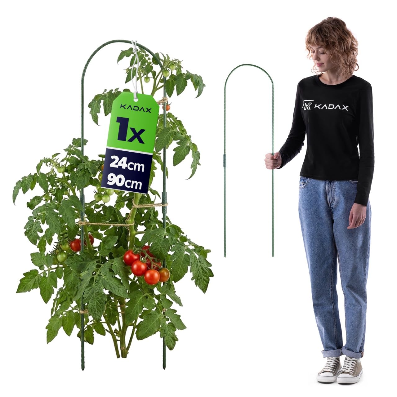 KADAX Pflanzstab 24 x 90 cm, 1 Stück, Pflanzenstütze aus Stahl mit Kunststoffbeschichtung, Rankhilfe für Tomaten, Gurken & Kletterpflanzen, Rankbogen für Gewächshaus