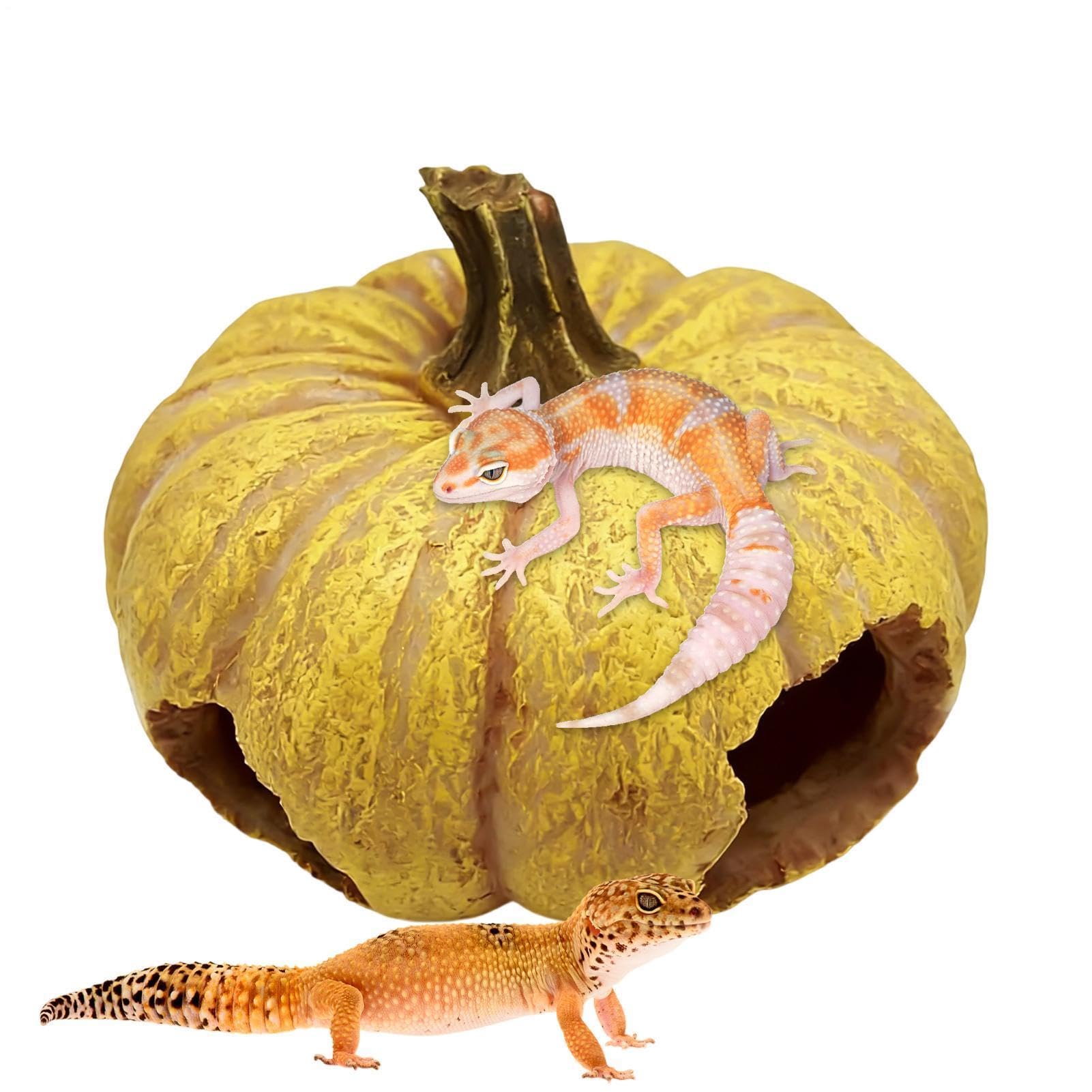 Terrarium pour gecko et lézard créez un décor naturel avec cet abri tortue en résine