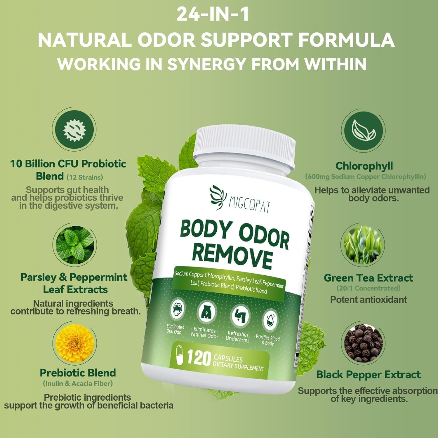 Chlorophyll Body Deodorizing Supplement, Chlorophyll Capsules with Parsley & Peppermint, Probiotic, Green Tea, Jerusalem Artichoke, Prebiotic, Supports Fresh Breath & Whole-Body Freshness, 120 Caps - Image 2
