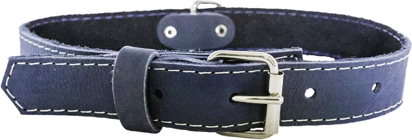 Affordable European Luxury Soft Leather Adjustable Buckle Dog Collar Made in USA