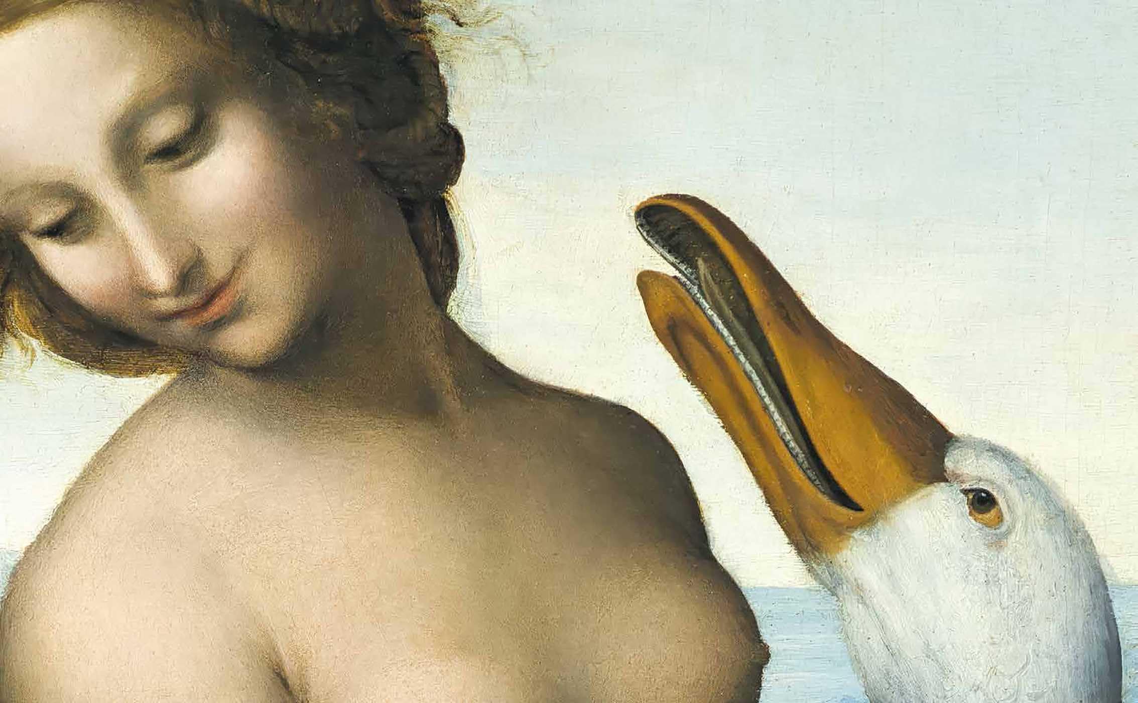 Metamorphoses : Ovid s Art /anglais